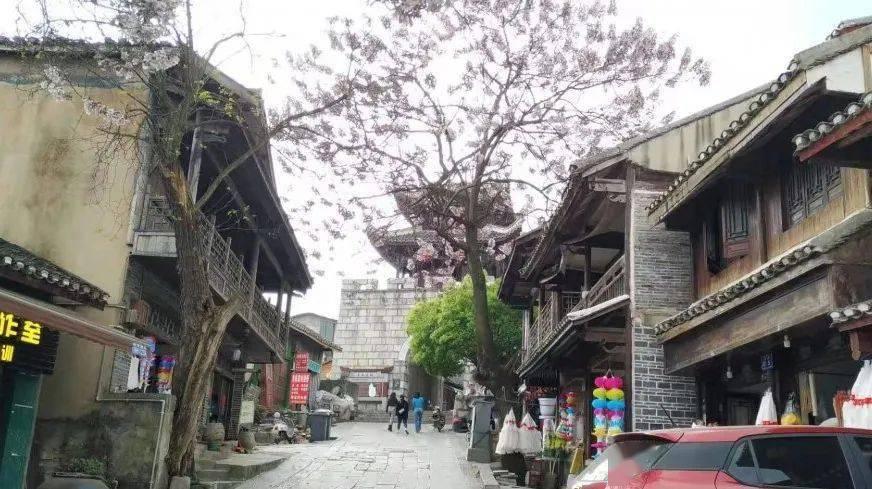 燃烧吧大脑免广告最新版